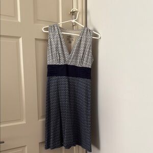 Patagonia Blue and White Sleeveless Sundress
